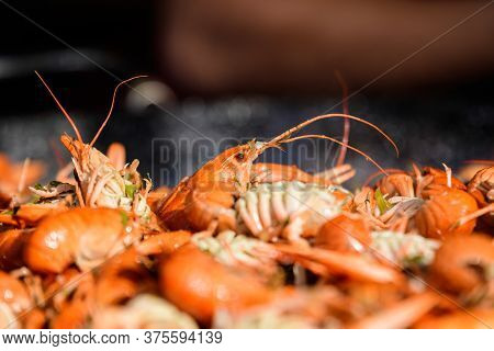 Close Up Of Freshly Cooked European Crayfishes Astacus Astacus With Spices Displayed For Sale At A S