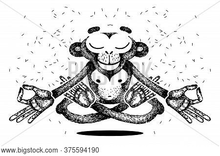 Monkey Is Meditating. Monkey Levitates. Monkey Sits In A Lotus Position, Meditation And Remains Calm