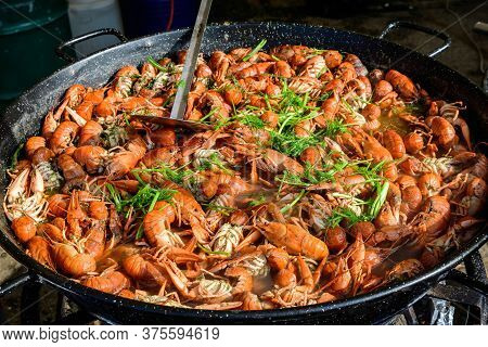 European Crayfishes Astacus Astacus (noble Or Broad-fingered Crayfish, Is The Most Common Species Of