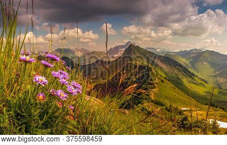 Great Sunset View From High Mountain With Flowers In Foreground. Allgau, Alps, Austria, Germany.