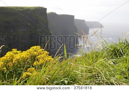 หน้าผาของ Moher
