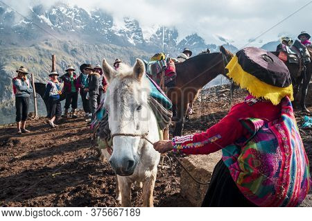 Vinicunca, Peru- October 29: Female Guide In Traditional Wear Holds White Mule At High Altitude Grou