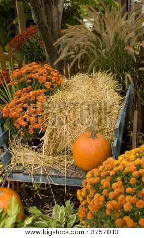 Herfst kleuren