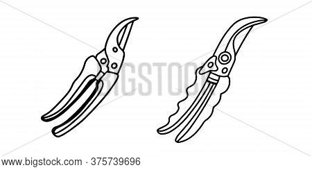 Set Of Scissors-secateurs, Isolated On A White Background. Garden Tools For Working With Flowers And