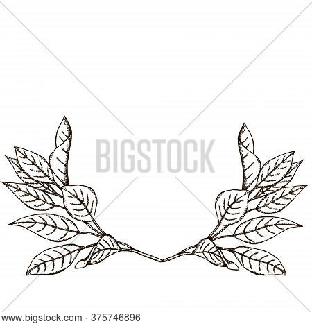 Elegant Gardenia Leaves Graphic Decor 300 Dpi Digital Art