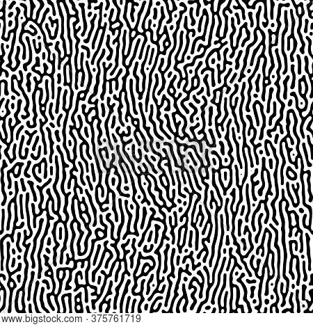 Intricate Geometric Turing Pattern In Classic Black And White Seamless Pattern Vector Background.