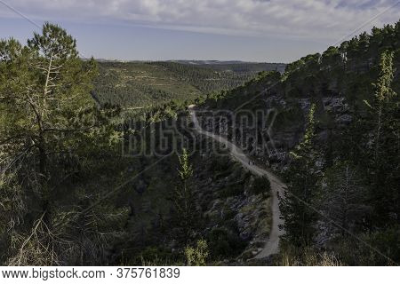 A Couple Of Hikers On A Forest Path In The Judea Mountains Near Jerusalem, Israel