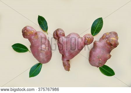 Ugly Potatoes. Non-standard, Funny Vegetables. The Concept Of Ecology, Gmo. Healthy Food. Copy Space
