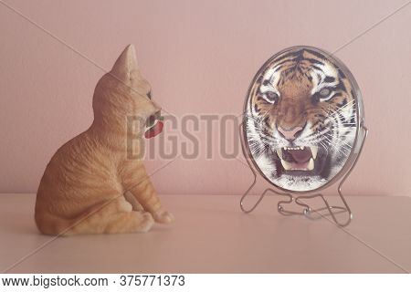 Kitten Looks In The Mirror And Sees Himself Reflected Like A Tiger. Self-confidence Concept. Busines