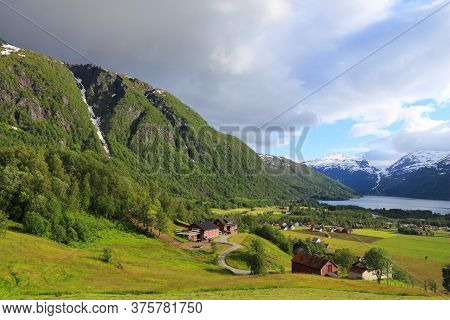 Roldal, Norway. Countryside Landscape With Lupin Flowers In Hordaland Region.