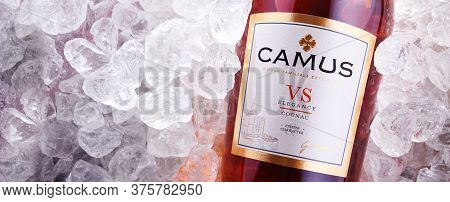 Bottle Of Camus, A Brand Cognac From Cognac, France