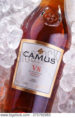 Bottle Of Camus, A Brand Cognac From Cognac, France