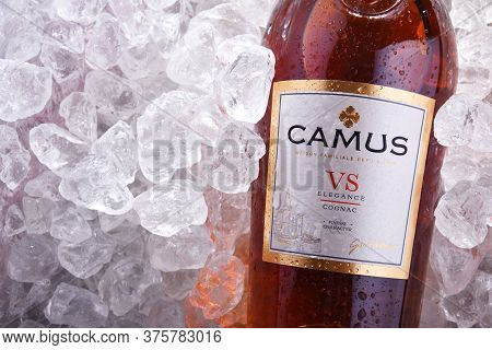 Bottle Of Camus, A Brand Cognac From Cognac, France