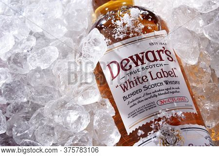 Bottle Of Dewars Blended Scotch Whisky In Crushed Ice