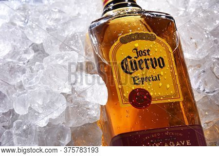 Bottle Of Tequila Jose Cuervo In Crushed Ice