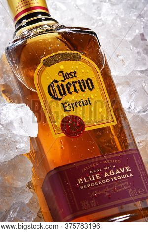 Bottle Of Tequila Jose Cuervo In Crushed Ice