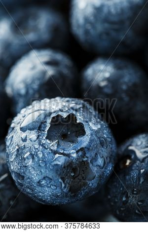 Blueberries Close-up In Full Screen With Dew Drops.
