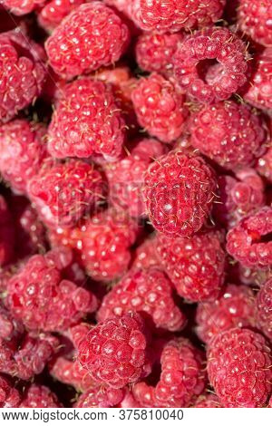 Macro Photo Of Fresh Raspberries. Background Patern Of Sweet Red Raspberries.