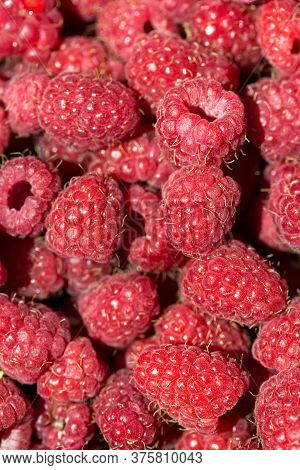 Macro Photo Of Fresh Raspberries. Background Patern Of Sweet Red Raspberries.