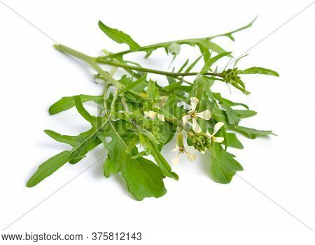 Rocket Or Arugula Eruca Vesicaria Or Brassica Eruca. Plant With Flowers. Isolated