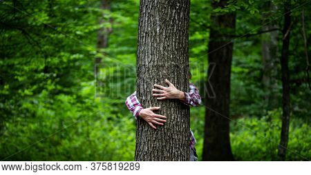 woman hand embracing a tree in green forest - nature loving, fight global warming, save planet earth
