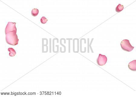 Blurred A Group Of Sweet Pink Rose Corollas On White Isolated Background With Softly Style And Copy 
