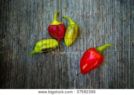 Red Paprika