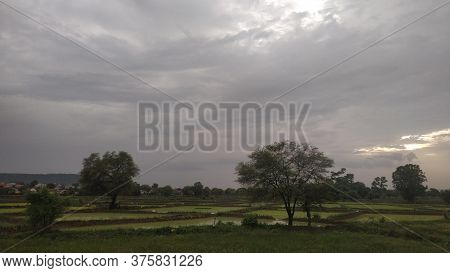 Beautiful Farm View With Trees And Sun In Sky Under Blue Sky