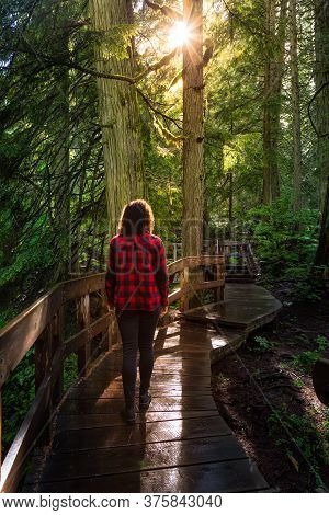 Adventure Girl Walking On A Wooden Pathway In The Rain Forest During A Vibrant Sunny Day. Taken On G