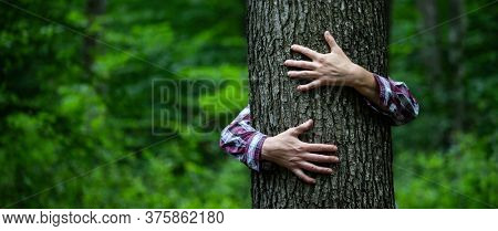 woman hand embracing a tree in green forest - nature loving, fight global warming, save planet earth