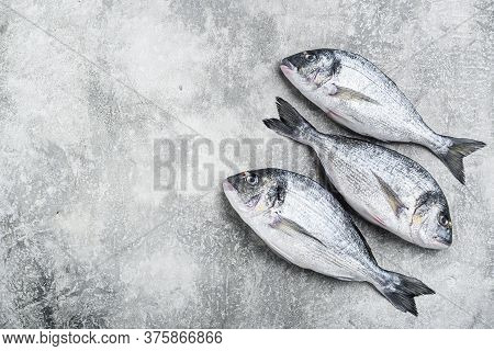 Whole Dorado Sea Bream Fish With Herbs For Grill Over Textured Grey Background  Top View Space For T