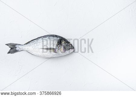 Raw Sea Bream Or Gilt Head Bream Dorada Fish On White Background, Top View.