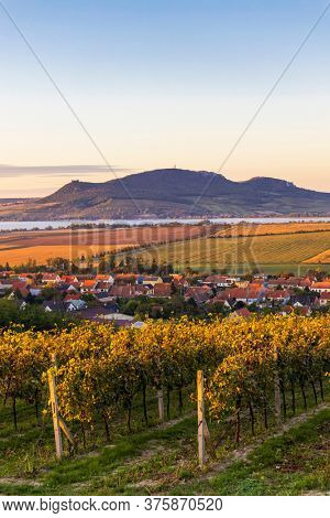 Autumn vineyards under Palava near Sonberk, South Moravia, Czech Republic