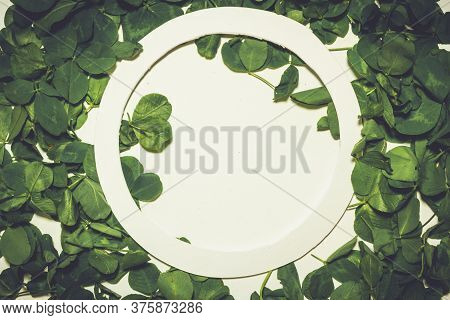 Creative Layout Made Of Clover Green Leaves. Flat Lay. Nature Background