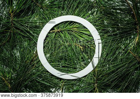 Creative Layout Made Of Green Pine Leaves. Flat Lay. Nature Background