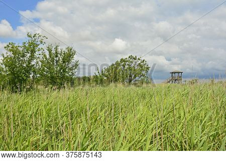 An Observation Tower In The Wetlands Of Isola Della Cona In Friuli-venezia Giulia, North East Italy