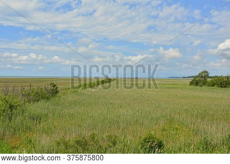 The Wetlands Of Isola Della Cona In Friuli-venezia Giulia, North East Italy