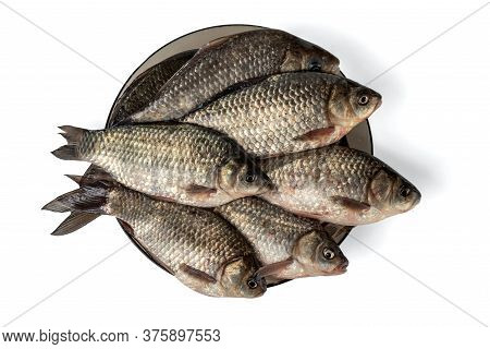 Fresh Crucian On A Brown Plate Isolated On White. Freshwater Fish.