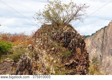 View At Rock With Sparse Vegetation And Bush Growing On Top