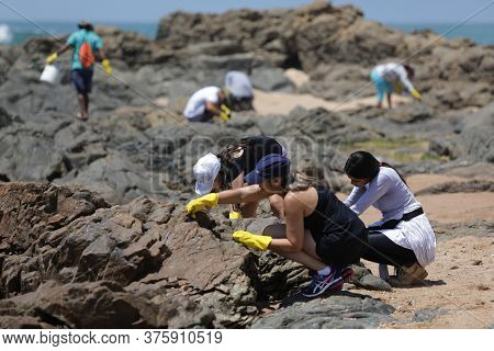 Salvador, Bahia / Brazil - October 13, 2019: Volunteers Clean Up Oil At Jardim De Alah Beach, The Si