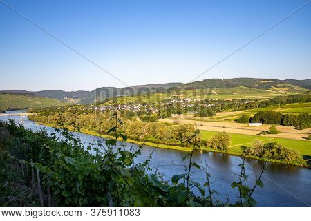 Scenic View On River Moselle Valley Nearby Village Muelheim With Vineyard In Foreground