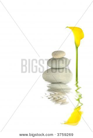 Zen ro