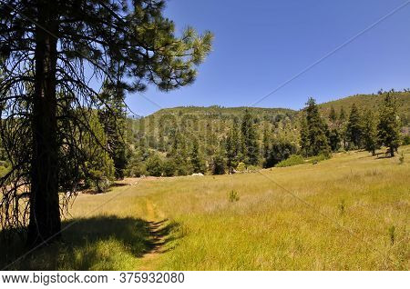 View Over Mount Palomar National Park The 4th Of July