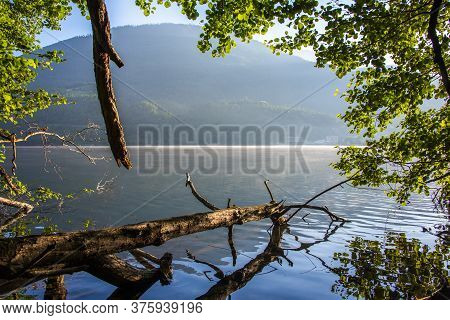 Trees Are Reflected On Lake Levico With The Mountains In The Background In Trento, Italy