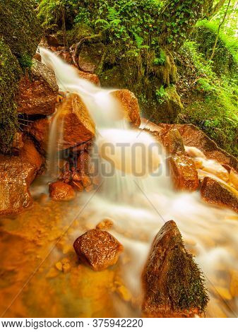 Cascades Of Mineral Water. Red Ferric Mud Of Sediments On Big Boulders Between Green Ferns