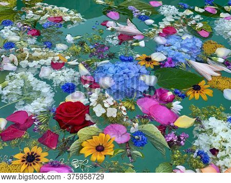 Flower Heads And Green Leaves In Water Of Fountain At Jugendfest In Brugg Switzerland.