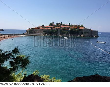 A Beautiful Blue Fish In Clear Water, In Which The Glare Of The Sun Plays.view From Above