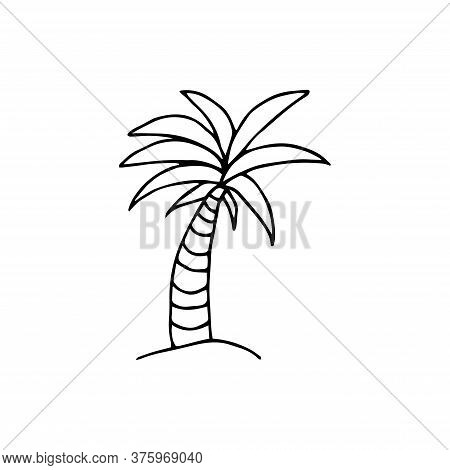 Palm Tree Drawn By Hand In Doodle Style.design For Coloring Isolated On A White Background. Palm Tre
