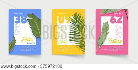 Set Of Posters With Palm Leaves. Off Card, Stationary Company Branding Template. Summer Sale Promoti