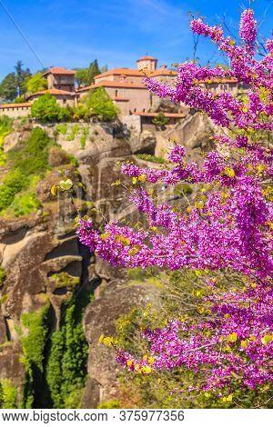 Defocused Great Meteoron Monastery, Meteora Mountain Rock, Trikkala, Greece And Branch Of Pink Cherr